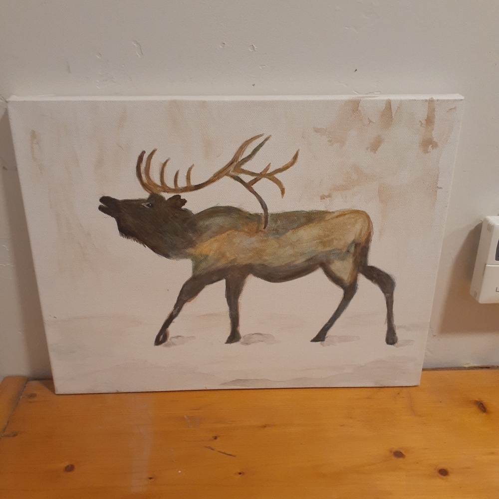 Elk canvas picture